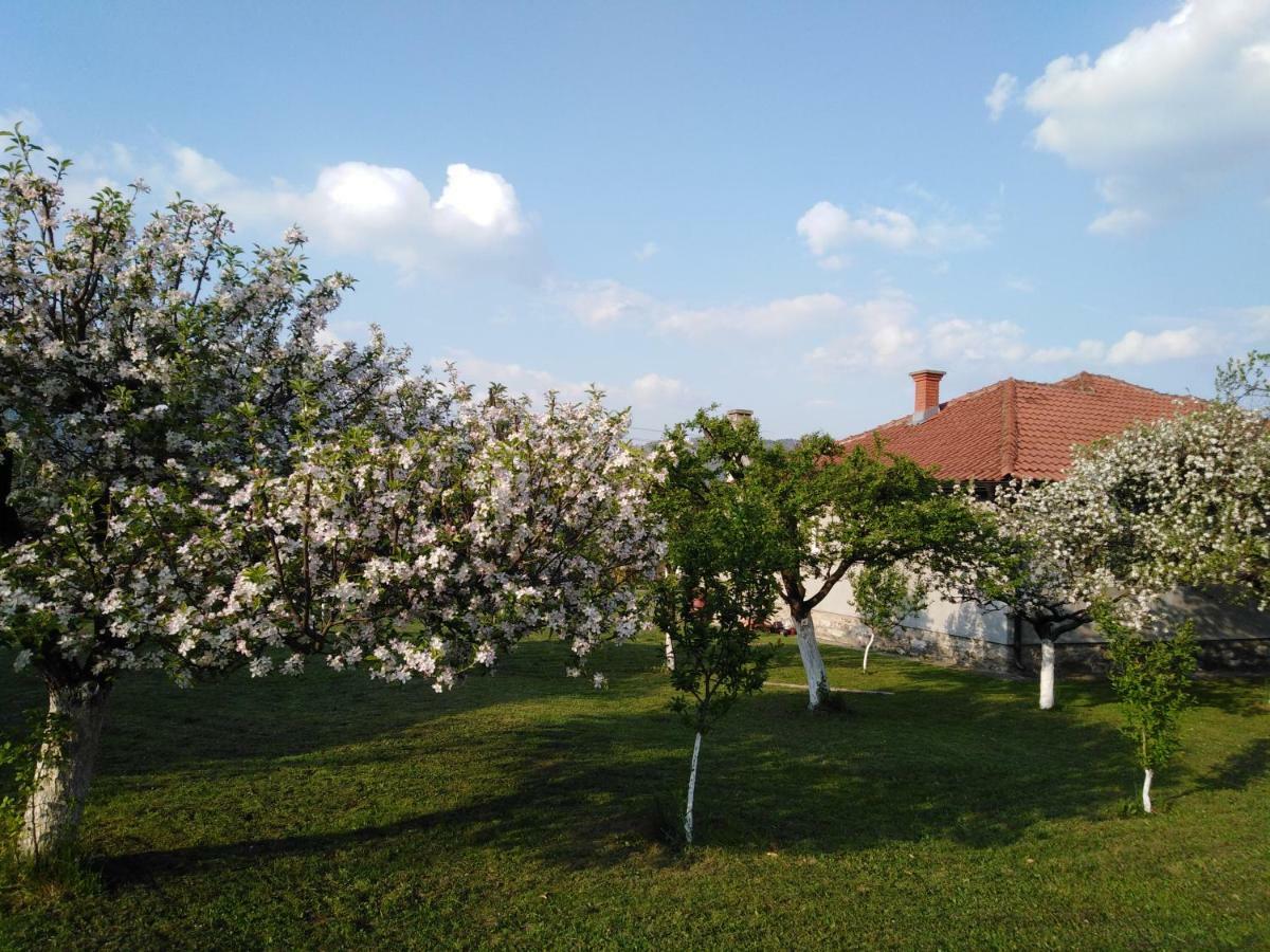 Mala Basta Lägenhet Bajina Basta Exteriör bild